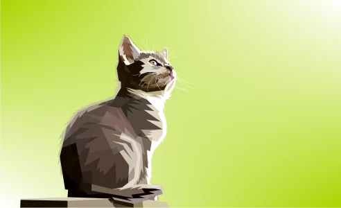 Animal colorful digital prints